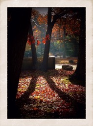 IMG_0008_2.jpg